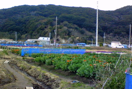 プジョーで旅サラダ　（房総編）