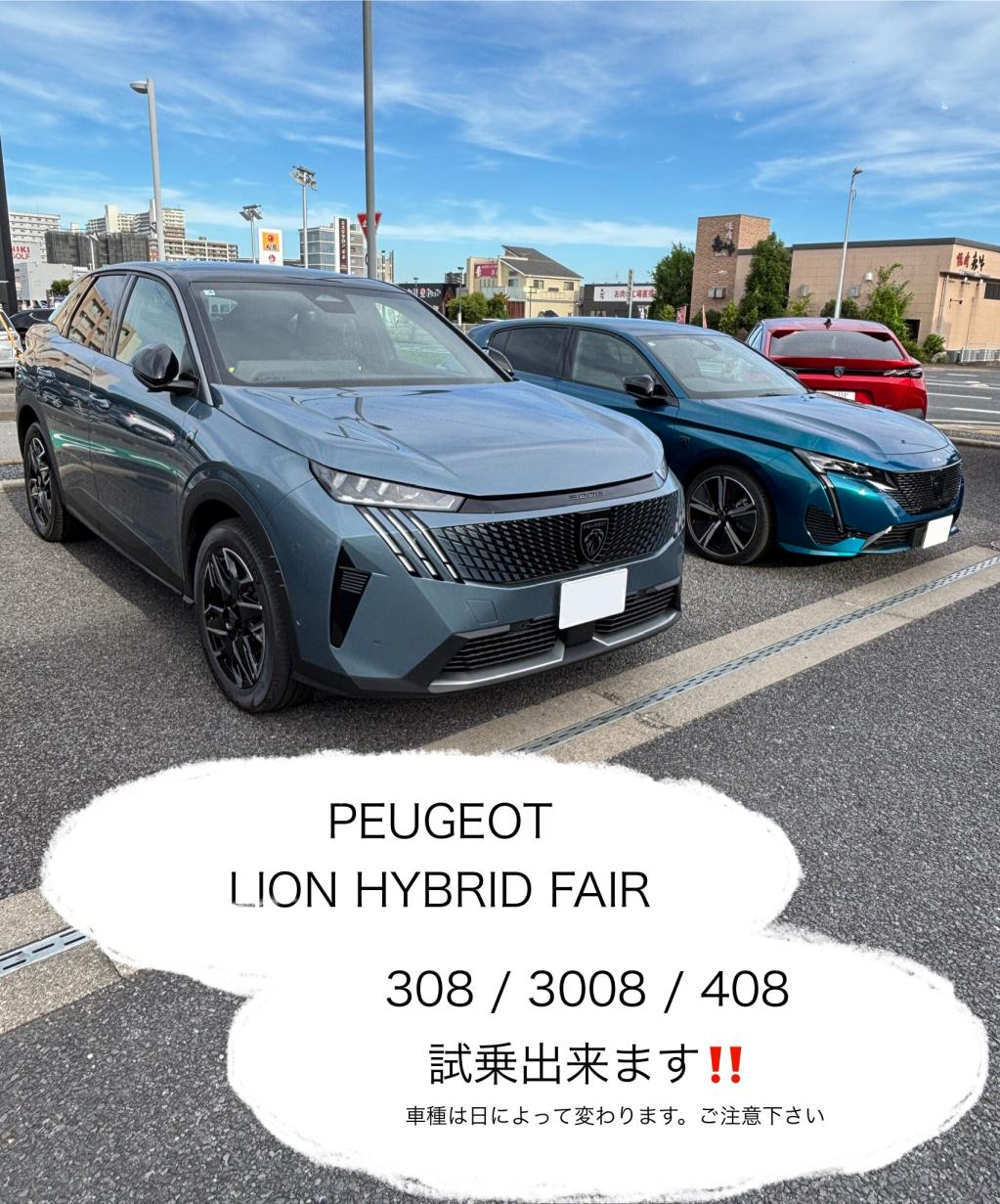 PEUGEOT LION HYBRID FAIR💎