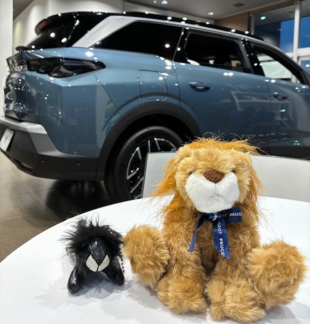 LINE開設しました🐾