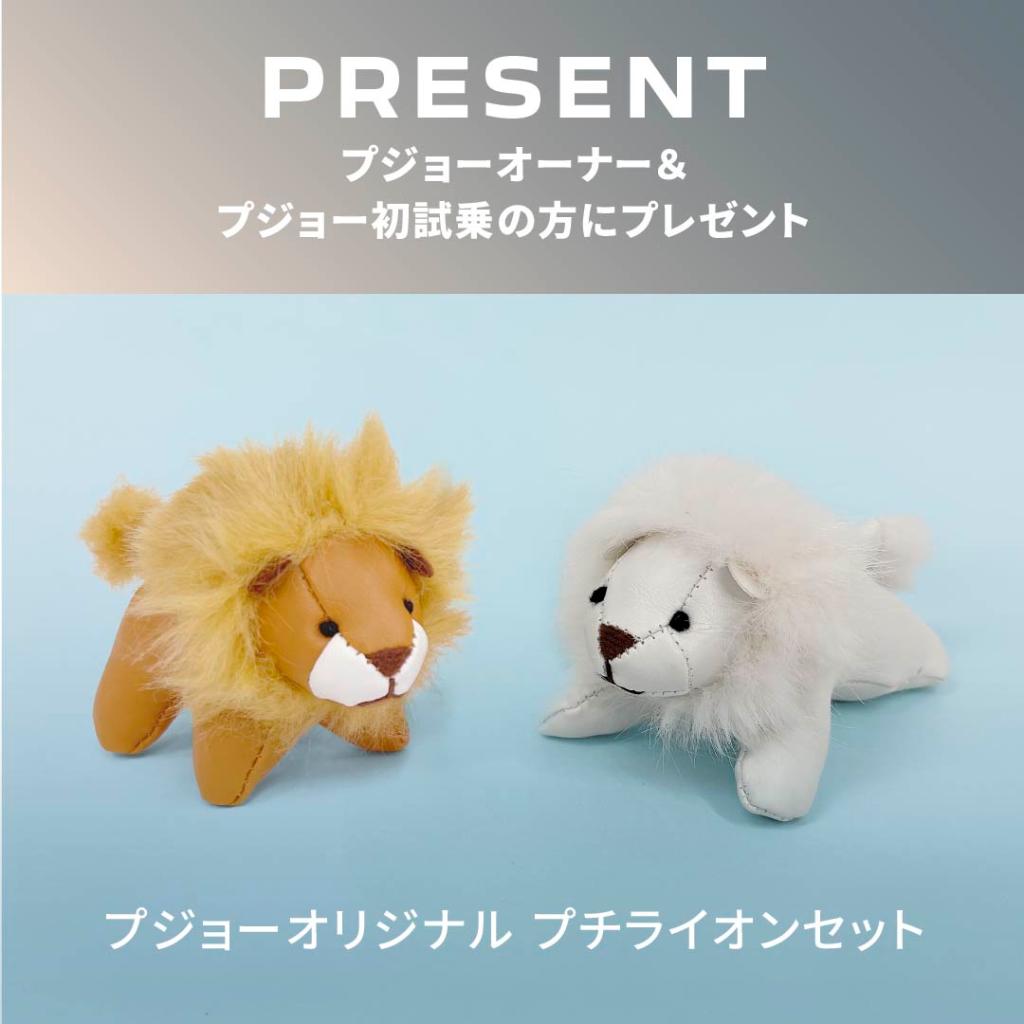 体感試乗キャンぺーーーーンのお知らせ📢