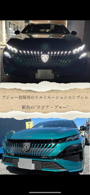 NEW308 フェイスリフト🧏‍♀️✨