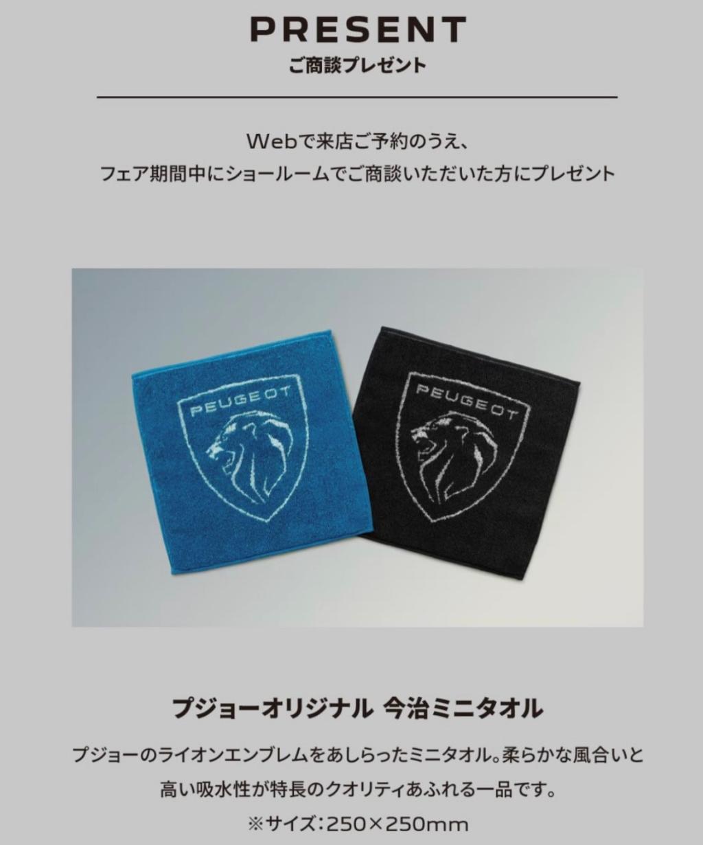 人気カラーが復活🩶