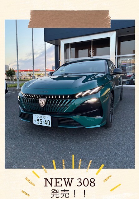 NEW 308発売🎊