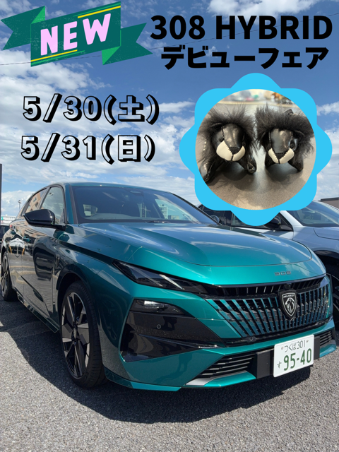 本日より🦁