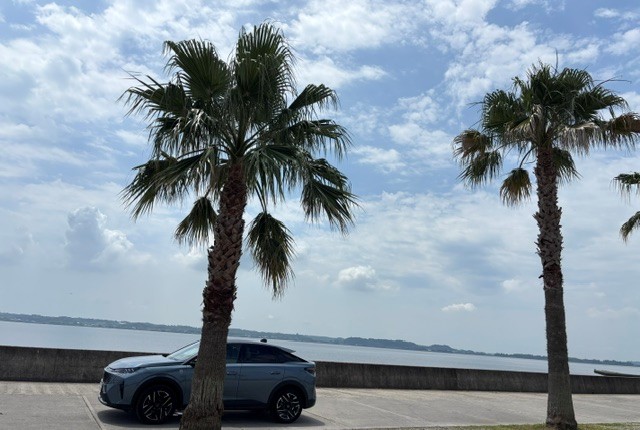 ドライブシリーズ🚗