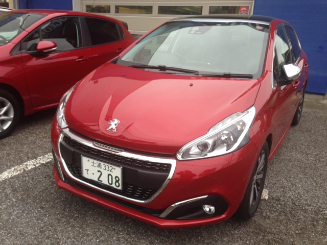 NEW208がウズウズしています