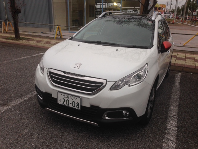 NEW208がウズウズしています