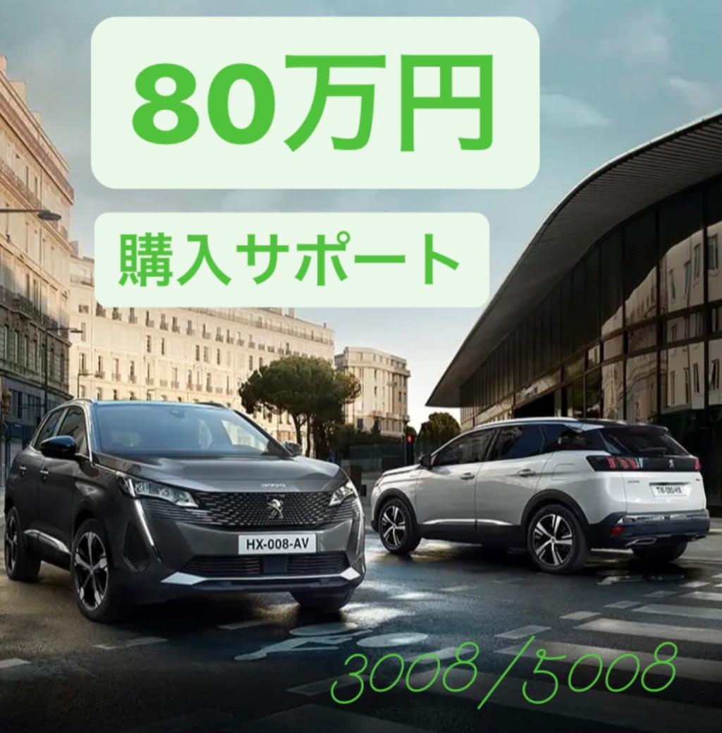 80万円購入サポートキャンペーン中