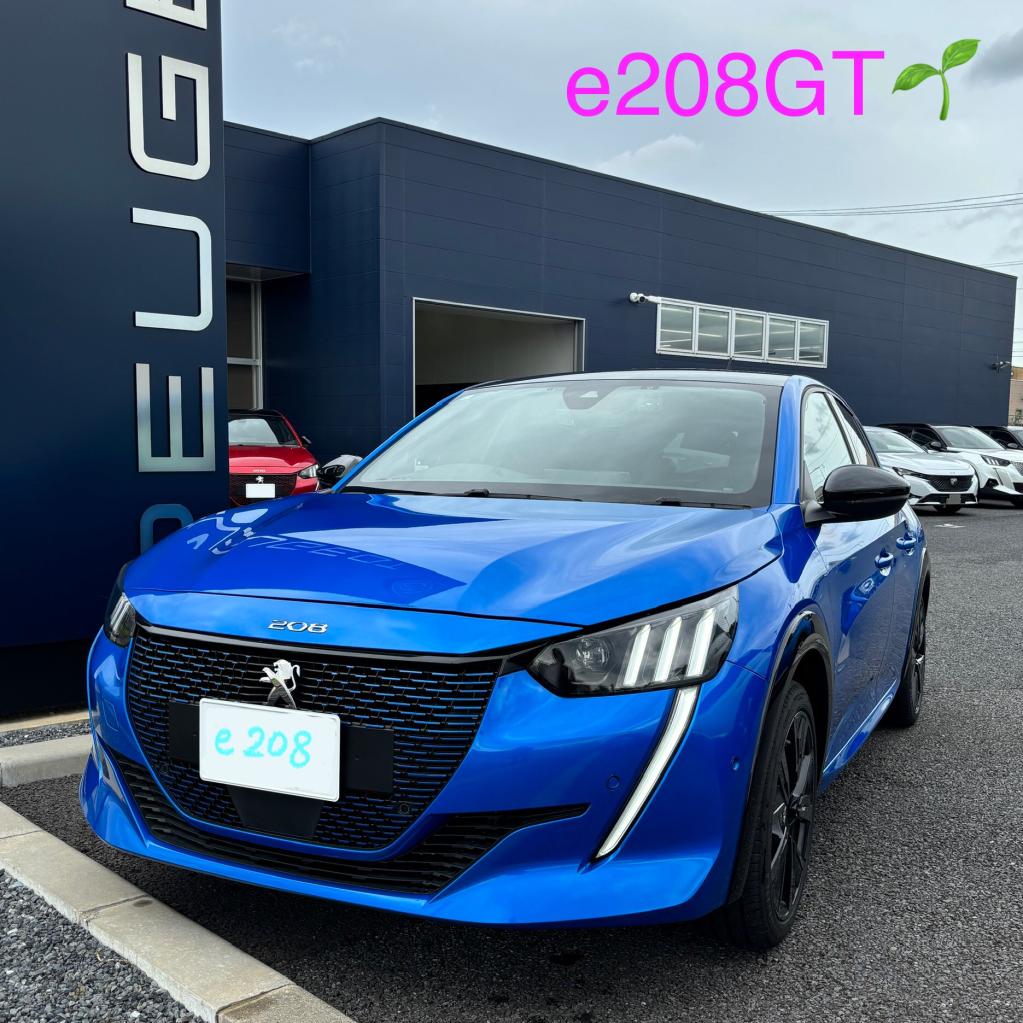 e208