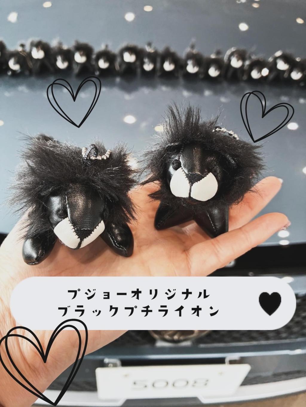 NEW 5008デビューフェア開催のお知らせ📢