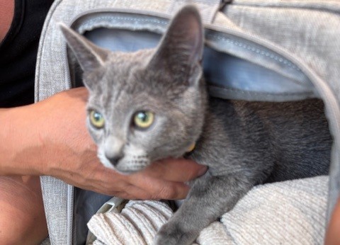 癒されまくりました😽