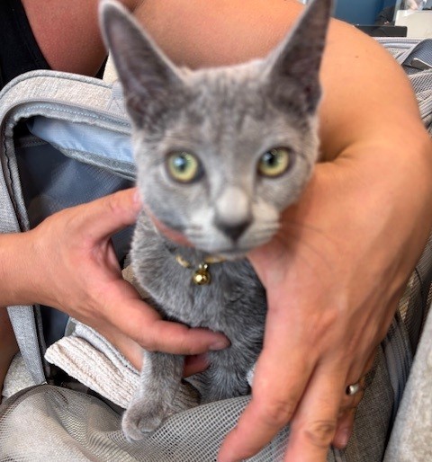 癒されまくりました😽