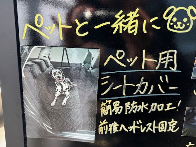 癒されまくりました😽