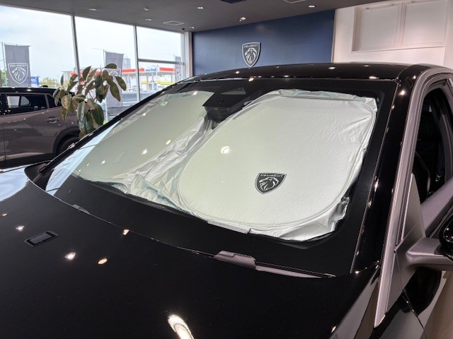 今売れています🌞