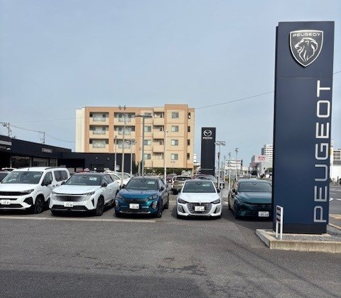 水曜日ですが通常営業中🌈