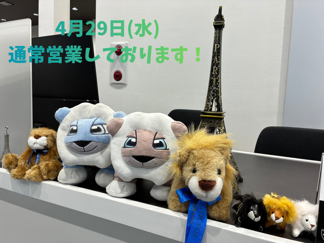 水曜日ですが通常営業中🌈