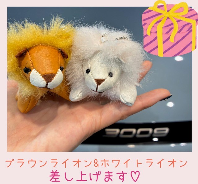 体感試乗キャンぺーーーーン第2弾のお知らせ📢