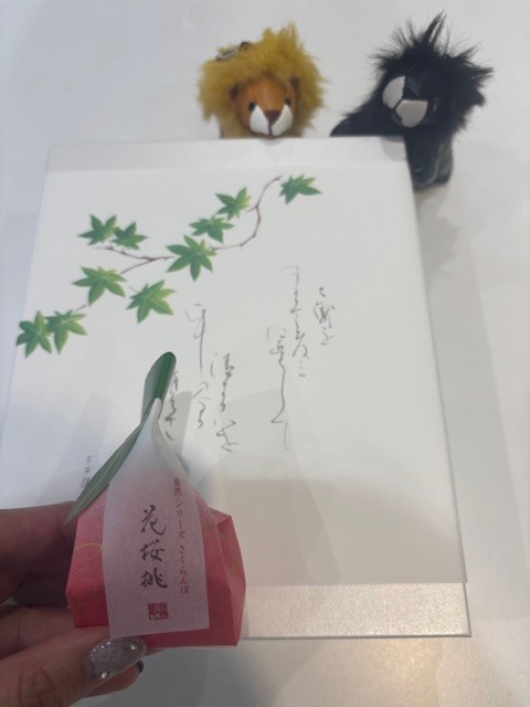 ありがとうございました💐