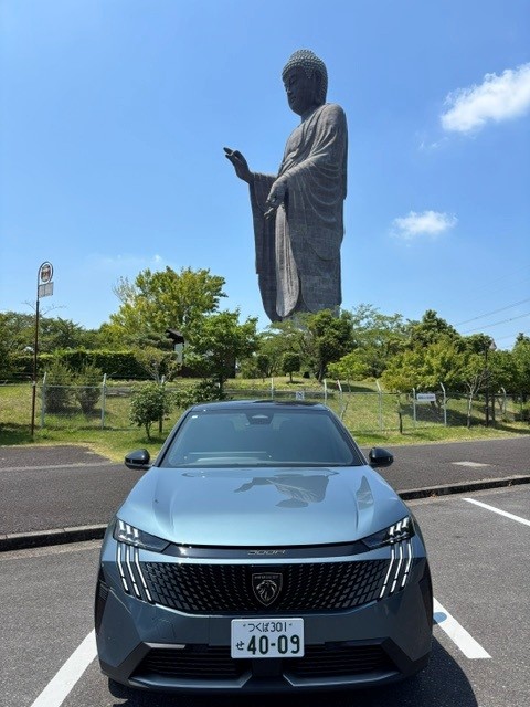 ドライブシリーズ🚗