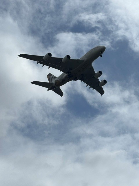 飛行機ゴルフ✈