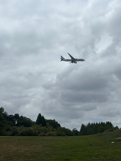 飛行機ゴルフ✈