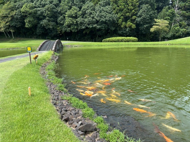 同年代ゴルフ🏌️‍♀️