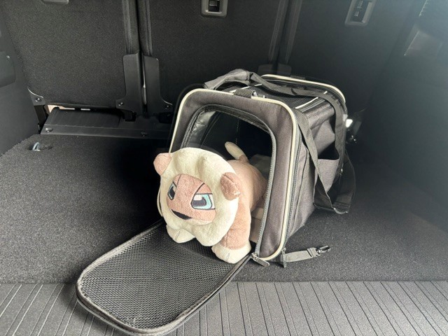 ペットゲージ🐶