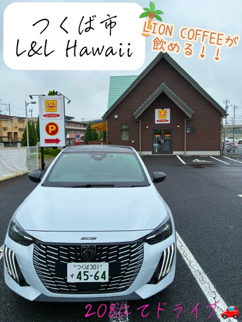 ドライブシリーズ🚗