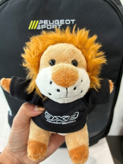 NEWグッズご紹介🦁～Plush toy～