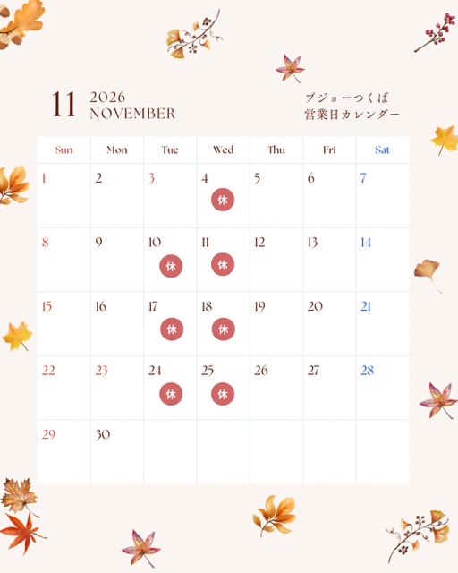 11月営業日のお知らせ🍄
